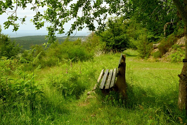 击性的阵型 击性的阵型