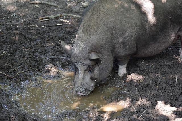 让人不得不 让人不得不
