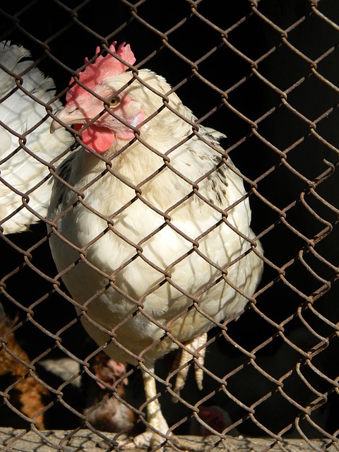 们的团队信 们的团队信