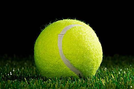 A总冠军经 A总冠军经