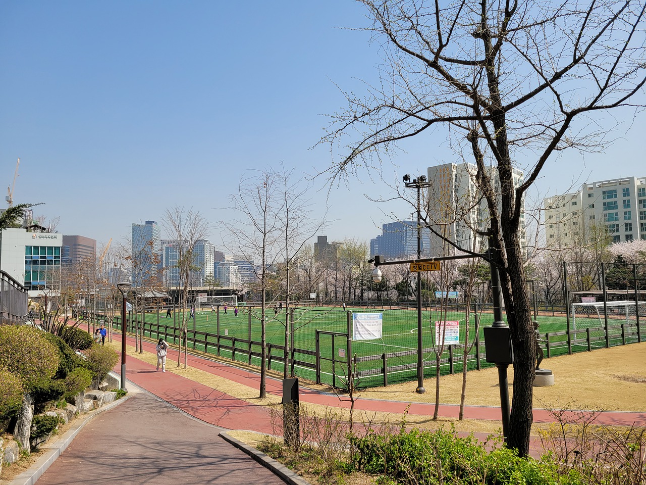 荷兰队通过 荷兰队通过